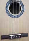 kitara c 100-2.jpg